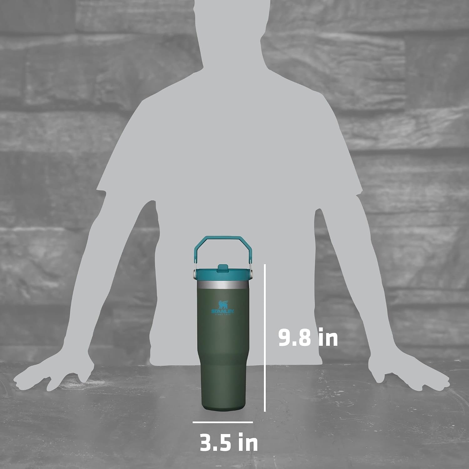 image:imageSTANLEY IceFlow 20 Flip Straw Tumbler 30 oz Champagne PlusSpirulina