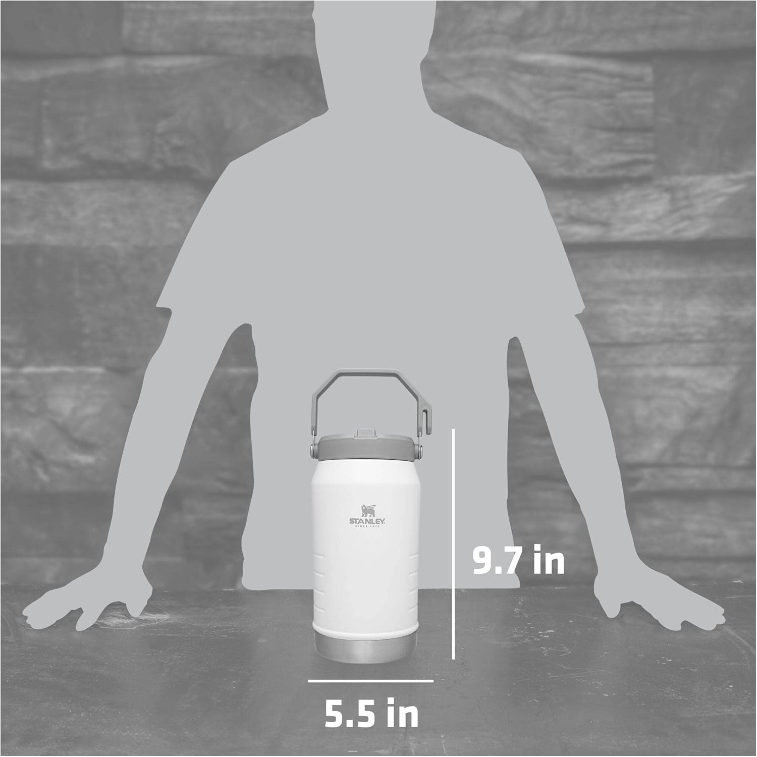 image:imageSTANLEY IceFlow Flip Straw 20 Jug 64 oz AshPolar