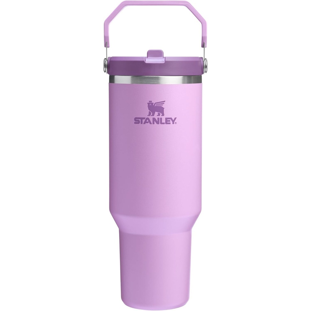 image:imageSTANLEY IceFlow 20 Flip Straw Tumbler 30 oz Champagne Plus 20
