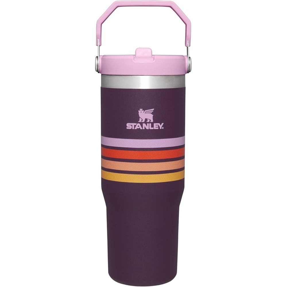 image:imageSTANLEY IceFlow 20 Flip Straw Tumbler 30 oz Champagne PlusPlum Stripe