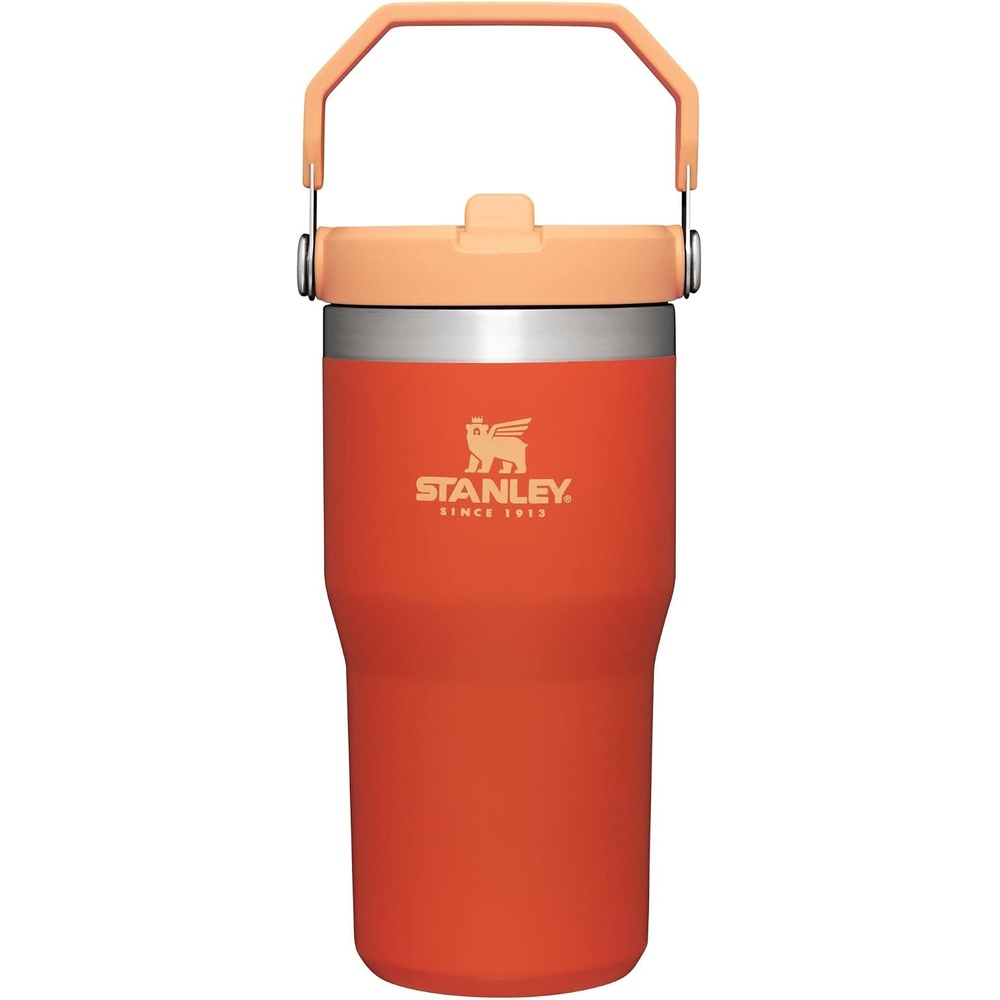 image:imageSTANLEY IceFlow 20 Flip Straw Tumbler 30 oz Champagne PlusTigerlily