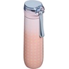 STANLEY Flowstate Spring Bottle, 20 oz, Ash(Sorbet Plus)