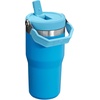 STANLEY IceFlow 2.0 Flip Straw Tumbler, 30 oz, Champagne Plus(Azure)