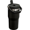 STANLEY IceFlow 2.0 Flip Straw Tumbler, 30 oz, Champagne Plus(Black)