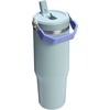STANLEY IceFlow 2.0 Flip Straw Tumbler, 30 oz, Champagne Plus(Blue Cactus)