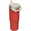 STANLEY IceFlow 2.0 Flip Straw Tumbler, 30 oz, Champagne Plus(Carnelian)
