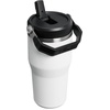 STANLEY IceFlow 2.0 Flip Straw Tumbler, 30 oz, Champagne Plus(Chalk)