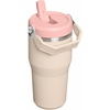 STANLEY IceFlow 2.0 Flip Straw Tumbler, 30 oz, Champagne Plus(Champagne)
