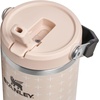 STANLEY IceFlow 2.0 Flip Straw Tumbler, 30 oz, Champagne Plus(Champagne Plus)
