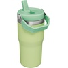 STANLEY IceFlow 2.0 Flip Straw Tumbler, 30 oz, Champagne Plus(Citron)