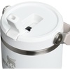 STANLEY IceFlow 2.0 Flip Straw Tumbler, 30 oz, Champagne Plus(Frost)