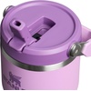 STANLEY IceFlow 2.0 Flip Straw Tumbler, 30 oz, Champagne Plus(Lilac 2.0)