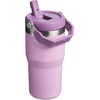 STANLEY IceFlow 2.0 Flip Straw Tumbler, 30 oz, Champagne Plus(Lilac)