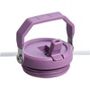 STANLEY IceFlow 2.0 Flip Straw Tumbler, 30 oz, Champagne Plus(Lilac)