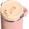 STANLEY IceFlow 2.0 Flip Straw Tumbler, 30 oz, Champagne Plus(Peach Rose)