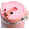 STANLEY IceFlow 2.0 Flip Straw Tumbler, 30 oz, Champagne Plus(Pink Mesa)