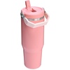 STANLEY IceFlow 2.0 Flip Straw Tumbler, 30 oz, Champagne Plus(Pink Mesa)