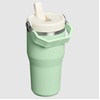 STANLEY IceFlow 2.0 Flip Straw Tumbler, 30 oz, Champagne Plus(Pistachio)