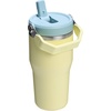 STANLEY IceFlow 2.0 Flip Straw Tumbler, 30 oz, Champagne Plus(Pomelo 2.0)