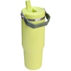 STANLEY IceFlow 2.0 Flip Straw Tumbler, 30 oz, Champagne Plus(Prickly Pear)