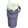 STANLEY IceFlow 2.0 Flip Straw Tumbler, 30 oz, Champagne Plus(Purple Umbra)