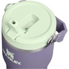 STANLEY IceFlow 2.0 Flip Straw Tumbler, 30 oz, Champagne Plus(Purple Umbra)