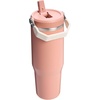 STANLEY IceFlow 2.0 Flip Straw Tumbler, 30 oz, Champagne Plus(Sienna)