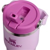 STANLEY IceFlow 2.0 Flip Straw Tumbler, 30 oz, Champagne Plus(Soft Orchid)