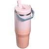 STANLEY IceFlow 2.0 Flip Straw Tumbler, 30 oz, Champagne Plus(Sorbet Plus)