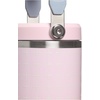 STANLEY IceFlow 2.0 Flip Straw Tumbler, 30 oz, Champagne Plus(Sorbet Plus)