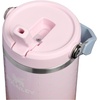 STANLEY IceFlow 2.0 Flip Straw Tumbler, 30 oz, Champagne Plus(Sorbet Plus)