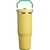 STANLEY IceFlow 2.0 Flip Straw Tumbler, 30 oz, Champagne Plus(Team Yellow Green)