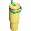 STANLEY IceFlow 2.0 Flip Straw Tumbler, 30 oz, Champagne Plus(Team Yellow Green)
