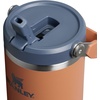 STANLEY IceFlow 2.0 Flip Straw Tumbler, 30 oz, Champagne Plus(Toast)