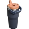STANLEY IceFlow 2.0 Flip Straw Tumbler, 30 oz, Champagne Plus(Twilight)