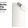 STANLEY IceFlow Flip Straw 2.0 Bottle, 24 oz, Blue Dream Gradient(Frost)