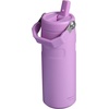 STANLEY IceFlow Flip Straw 2.0 Bottle, 24 oz, Blue Dream Gradient(Lilac)