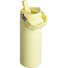 STANLEY IceFlow Flip Straw 2.0 Bottle, 24 oz, Blue Dream Gradient(Pomelo)
