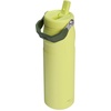 STANLEY IceFlow Flip Straw 2.0 Bottle, 24 oz, Blue Dream Gradient(Prickly Pear)