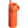STANLEY IceFlow Flip Straw 2.0 Bottle, 24 oz, Blue Dream Gradient(Tigerlily Plum)