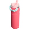STANLEY IceFlow Flip Straw 2.0 Bottle, 24 oz, Blue Dream Gradient(Watermelon)