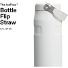 Stanley 1913 Flip Straw Sports Water Bottle 0.7L – Pacific Hypergrip(Frost)