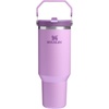 STANLEY IceFlow 2.0 Flip Straw Tumbler, 30 oz, Champagne Plus(라일락 2.0)