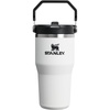 STANLEY IceFlow 2.0 Flip Straw Tumbler, 30 oz, Champagne Plus(Chalk)
