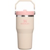 STANLEY IceFlow 2.0 Flip Straw Tumbler, 30 oz, Champagne Plus(Champagne)