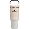 STANLEY IceFlow 2.0 Flip Straw Tumbler, 30 oz, Champagne Plus(Champagne Plus)