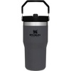 STANLEY IceFlow 2.0 Flip Straw Tumbler, 30 oz, Champagne Plus(Charcoal)