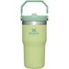 STANLEY IceFlow 2.0 Flip Straw Tumbler, 30 oz, Champagne Plus(Citron)