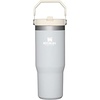 STANLEY IceFlow 2.0 Flip Straw Tumbler, 30 oz, Champagne Plus(Cloud)