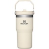 STANLEY IceFlow 2.0 Flip Straw Tumbler, 30 oz, Champagne Plus(Cream)